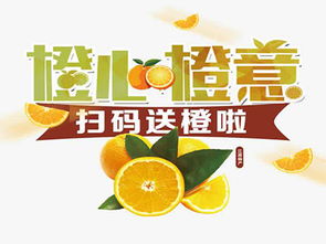橙心橙意加盟費(fèi)用解析 總投資7.98萬(wàn)元起，詳細(xì)費(fèi)用構(gòu)成與加盟支持一覽